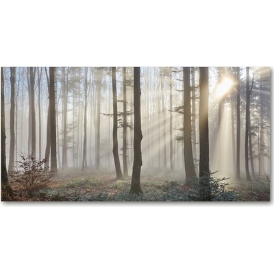 Fotoobraz na skle Hmla v lese 100x50 cm