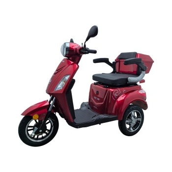 RACCEWAY Elektrický tříkolový vozík VIA-MS09