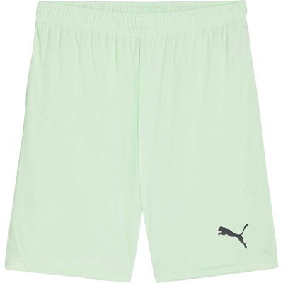 PUMA Teamgoal shorts l