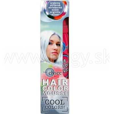 Wats Elysée Color Mousse farebné penové tužidlo farba strieborná 63 75 ml