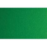 Fabriano Картон Colore, 50 x 70 cm, 140 g/m2, № 231, зелен (43303231/2_VERDE)