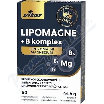 Vitar KINGS LIPOMAGNE + B komplex 60 kapsúl
