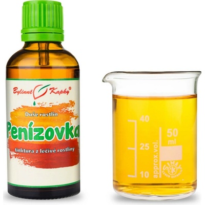 Plamienka zimná bylinné kvapky tinktúra duša rastlín 50 ml