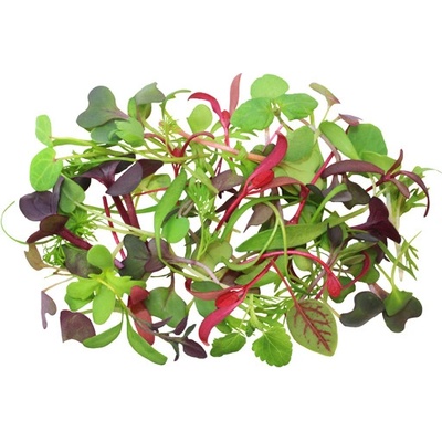 Toraf Microgreens, semínka na klíčky - Směs jemná 20g
