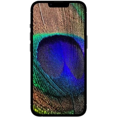 Apple iPhone 13 Pro 1TB Graphite