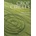 Crop Circles