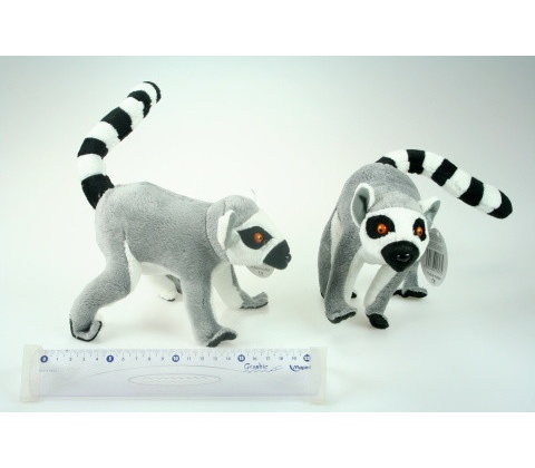 Lemur