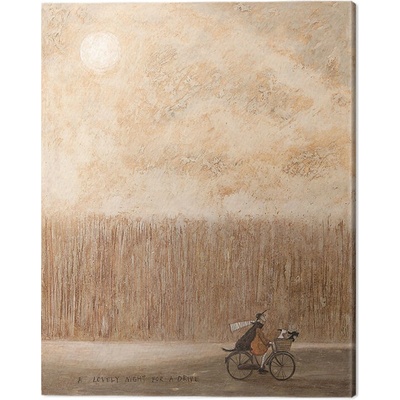 Obraz na plátne Sam Toft - A Lovely Night for a Drive, 2 - 40×50 cm