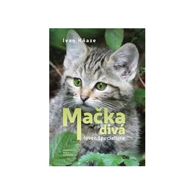 Mačka divá lovec špecialista - Kňaze Ivan