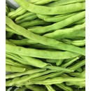 BIO fazuľa kríčková Maxi - Phaseolus vulgaris - bio semená fazule - 20 ks