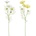MARGARÉTKA 2F 60CM