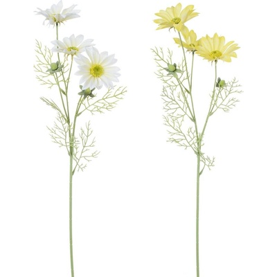 MARGARÉTKA 2F 60CM