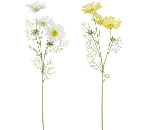 MARGARÉTKA 2F 60CM