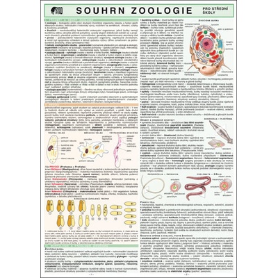 SOUHRN ZOOLOGIE PRO SŠ