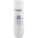 Goldwell Dualsenses Just Smooth Taming Shampoo 250 ml