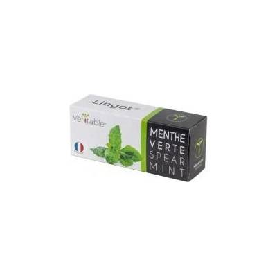 Véritable Lingot Máta klasnatá