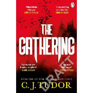 Gathering (ISBN: 9781405948302)