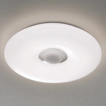 Näve 1220261