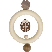 Heimess krúžok Lienka