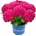 Royalty Collection® Curly Sparkle Red Royalty Collection® Хортензия macrophylla