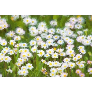 DIMEX ART Флизелинов фототапет картина - пролетна поляна 375 x 250 см