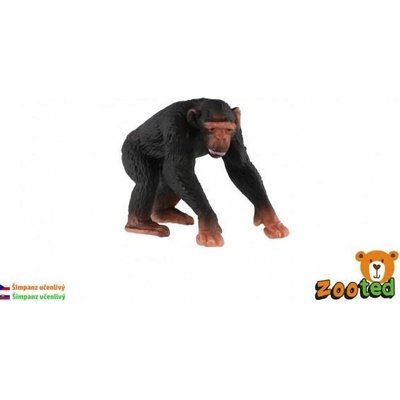 ZOOted Šimpanz učenlivý