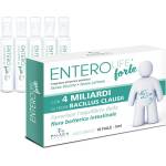 Paladin Pharma Пробиотик EnteroLife® Форте, 4 млрд. пробиотици, 10 флакона x 5 ml (550079 (11008) PP)