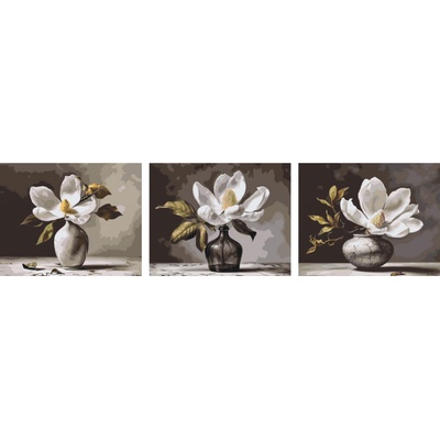 MALUJEŠ Malování podle čísel SET ROZTOMILÁ MAGNOLIE Rozměr 30 x 40 cm Rámování bez rámu a bez vypnutí plátna