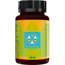 Bewit Prawtein Alg 100 ml