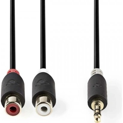 Nedis CABW22250AT02