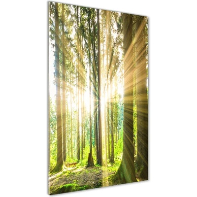 Vertikálny fotoobraz na skle Slnko v lese 50x100 cm