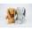 SUN-DAY Zajac 30cm 2 colors 158512 Price for 1pc