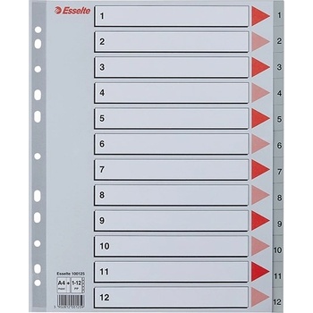 ESSELTE Регистър ESSELTE A/4 Maxi plastic 1-12 grey 100125 (100125)