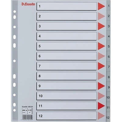 ESSELTE Регистър ESSELTE A/4 Maxi plastic 1-12 grey 100125 (100125)