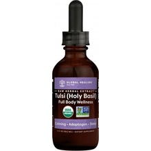 Global Healing RAW extrakt z bazalky posvätnej TULSI, 59,2 ml