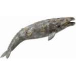 CollectA Płetwal szary