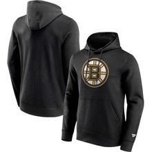 Fanatics Boston Bruins Primary Logo graphic Hoodie