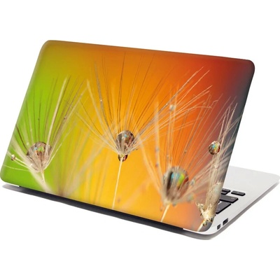 Sablio Samolepka na notebook Odkvetlé pampelišky 2 - 38x26 cm