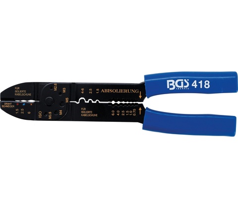 BGS 418