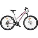 MAYO XC BASIC D 2026