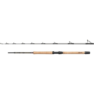 Penn Regiment IV Pro Boat 2,10 m 12-20 lb 2 Díly