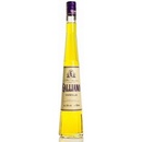Likéry Galliano Vanilla 30% 0,7 l (čistá fľaša)