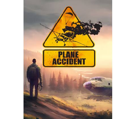 Plane Accident