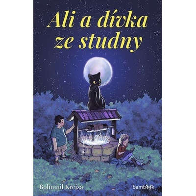 Ali a dívka ze studny - Krejza Bohumil