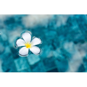 DIMEX ART s. r. o Флизелинов фототапет цвете в синя вода 375 x 250 см