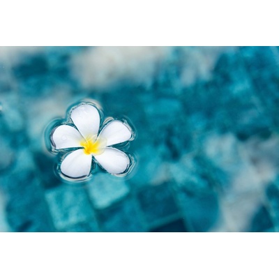 DIMEX ART Флизелинов фототапет цвете в синя вода 375 x 250 см