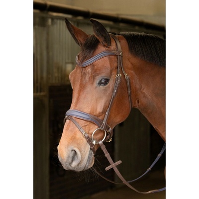 Harrys Horse Harry's Horse Uzdečka Havana Navy Hnedá