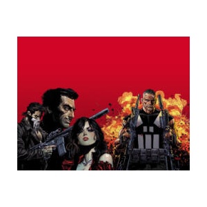 Marvel Knights: Punisher | Dan Panosian (ISBN: 9781302914301)
