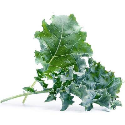 Veritable Вложка за семена Lingot листа от зеле (VLIN-J10-Cho048)