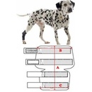 Kruuse Chránič hlezna Rehab XL